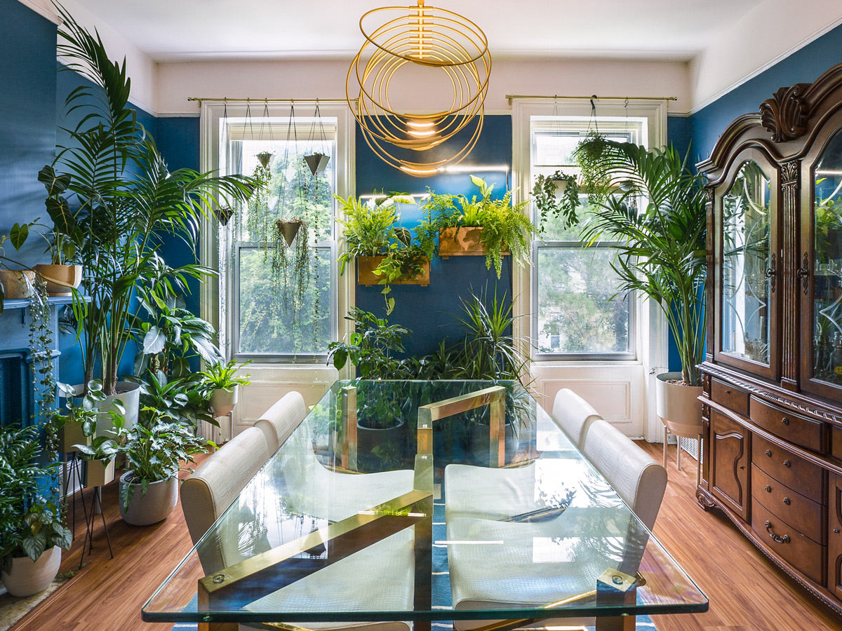 Greenery Unlimited | Greenpoint Apartment