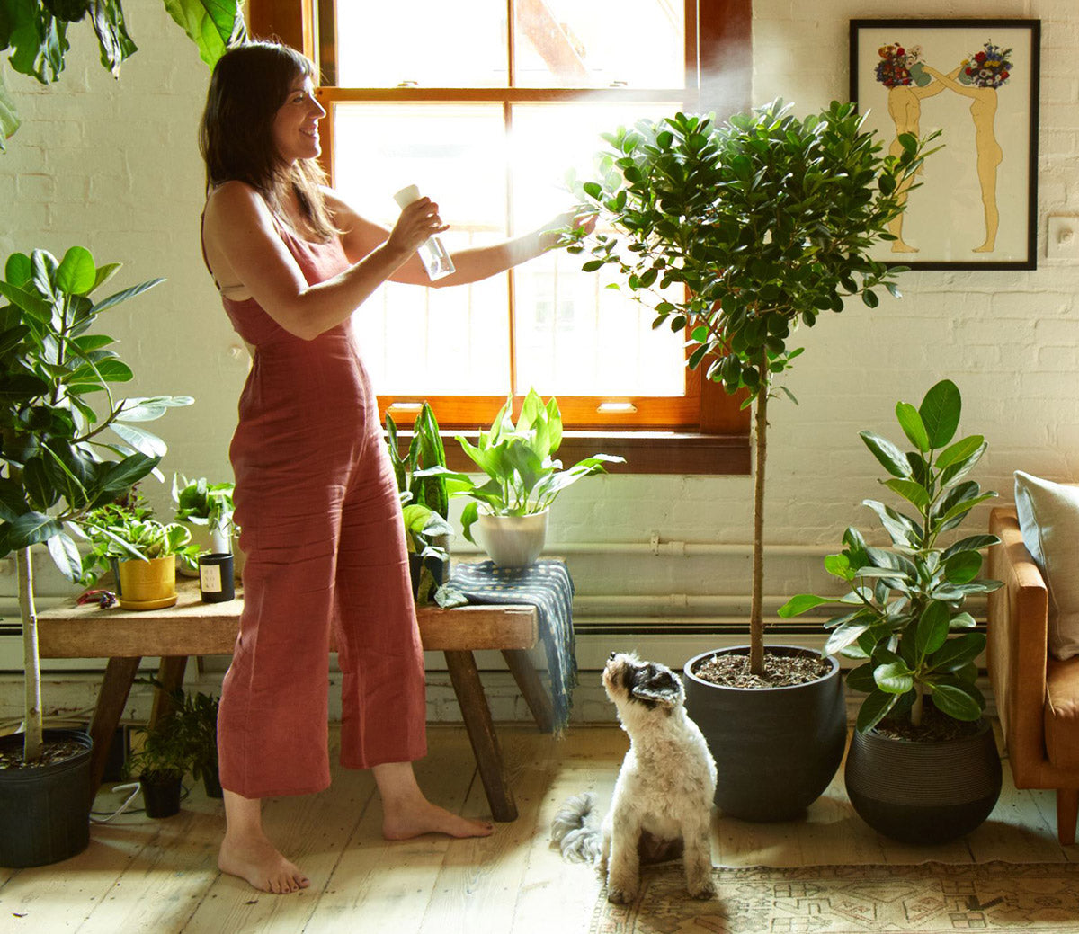 Greenery Unlimited | My Top Five Favorite (and Essential) Houseplant Tools