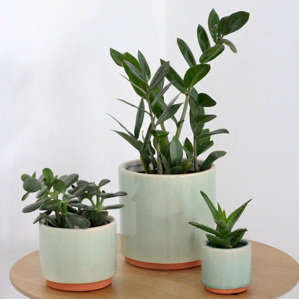 Large Sage Green and Terracotta Ceramic Round Planter Pot: 7.5