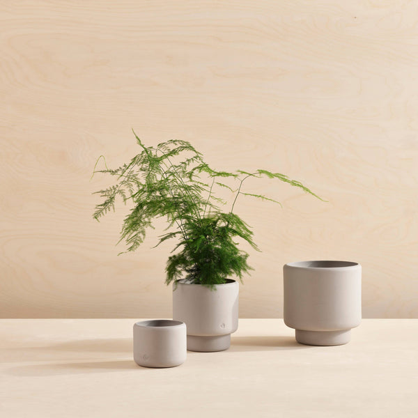 Aaron Probyn US - BOTANY porcelain plant pot MEDIUM: Dark Terracotta