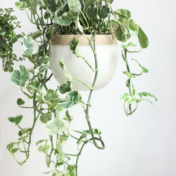 Large Boho Ceramic Hanging Planter Pot in White and Beige: 7