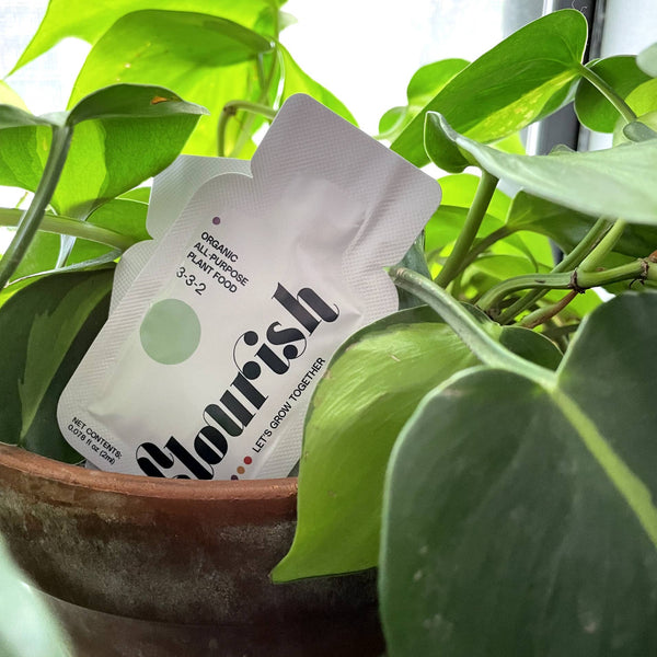 Flourish Plant - Single Serving Plant Food Packet