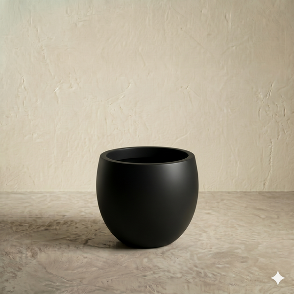 Calyer Black