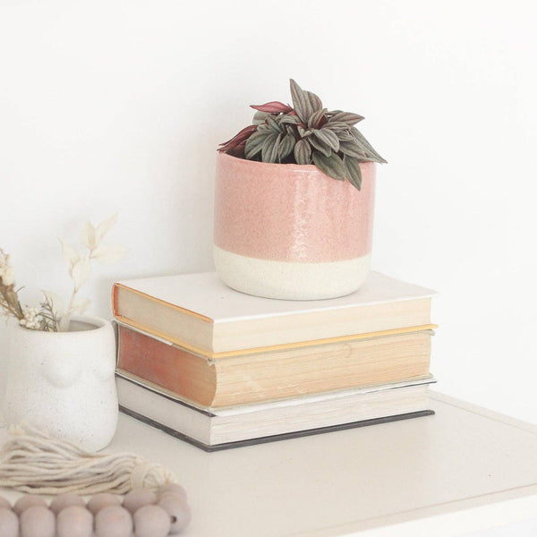 Large Blush Pink Ceramic Planter Pot with Crackle Glaze: 7