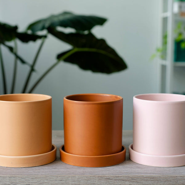 4 Inch Ceramic Cylinder Planter with Drainage and Tray: Rust