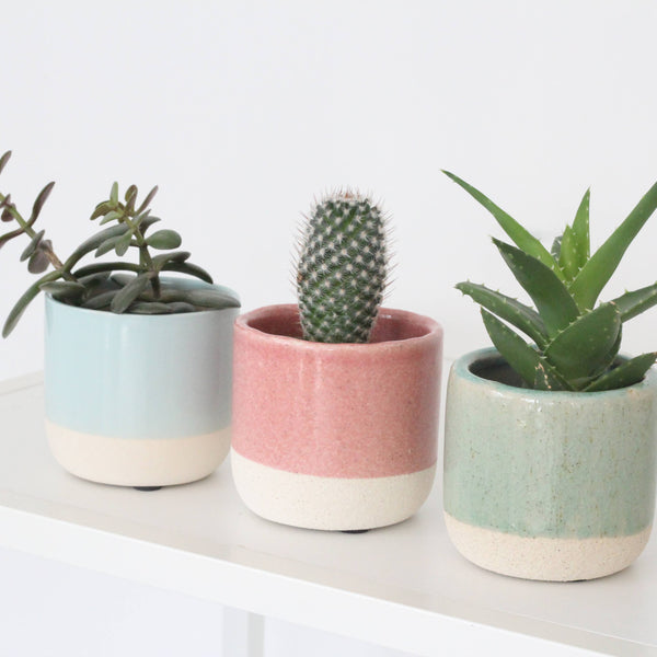 Bulk Planter Pots and Vessels in Ceramic and Concrete: White / Cylinder