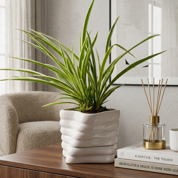 Devoe 15 Ceramic Self Watering Pot