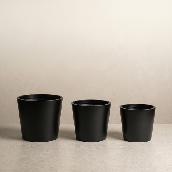 Prospect Planter