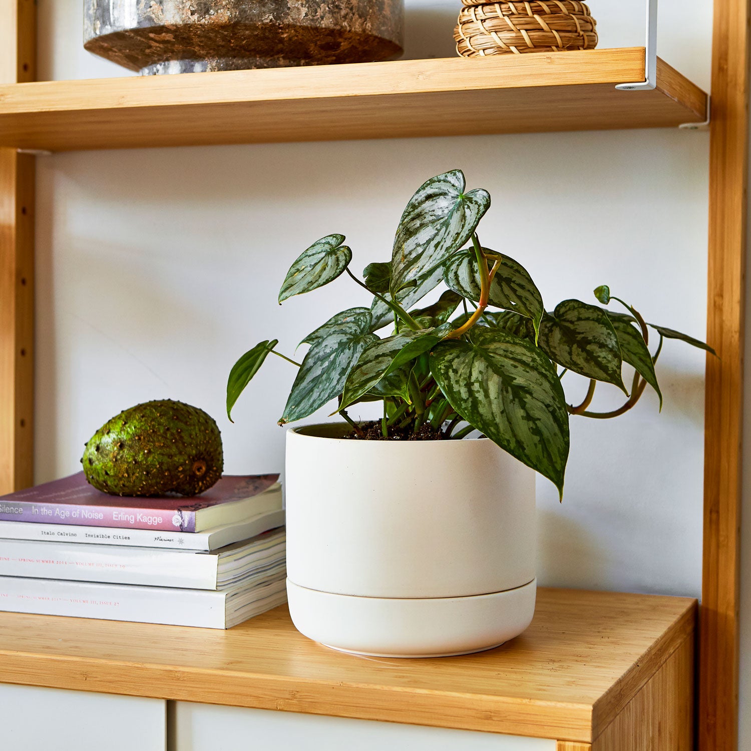 vencer self watering planter Franklin 17 Ceramic Self Watering Pot by Greenery Unlimited Canary