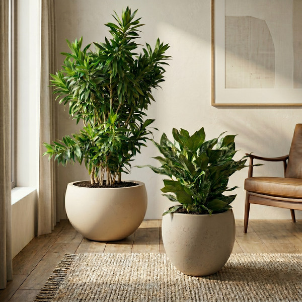 Calyer 34 Large Planter
