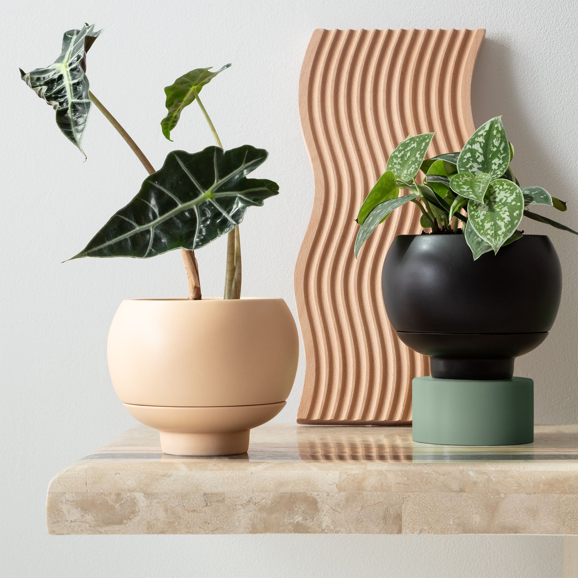 plant pot online Sutton 15 Ceramic Self Watering Pot Matte Black