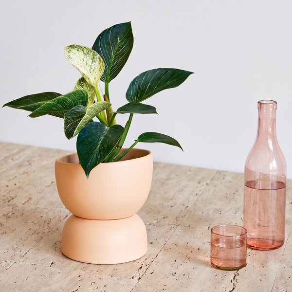 Varick 20 Ceramic Self Watering Pot