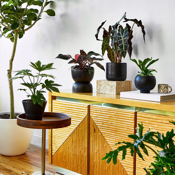 Varick 20 Ceramic Self Watering Pot