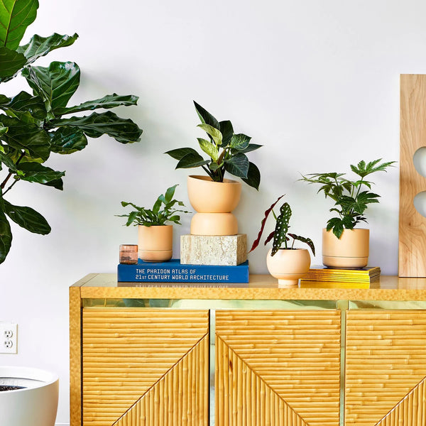 Varick 20 Ceramic Self Watering Pot