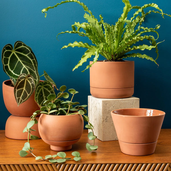 Varick 20 Ceramic Self Watering Pot