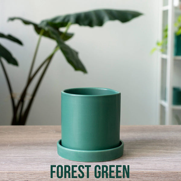 4 Inch Ceramic Cylinder Planter with Drainage and Tray: Forest Green