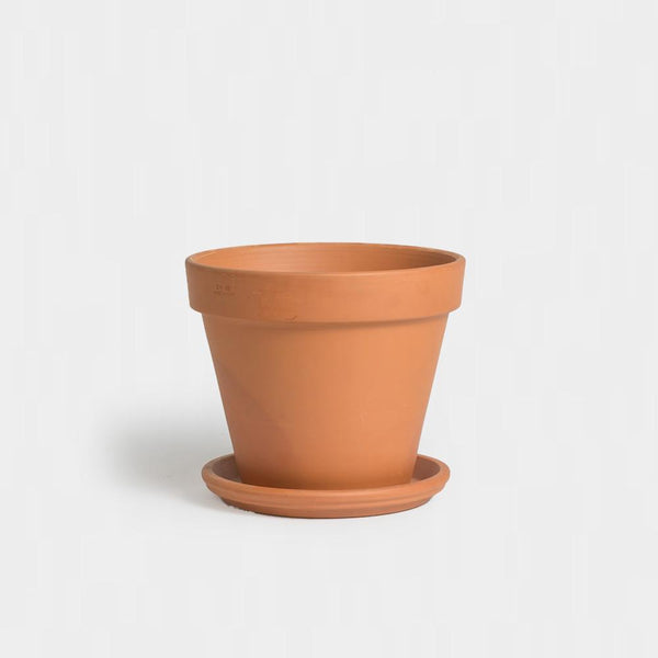 Terracotta Pot | 12