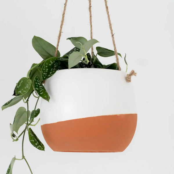 Large Burnt Orange Ceramic Hanging Planter Pot in White: 8