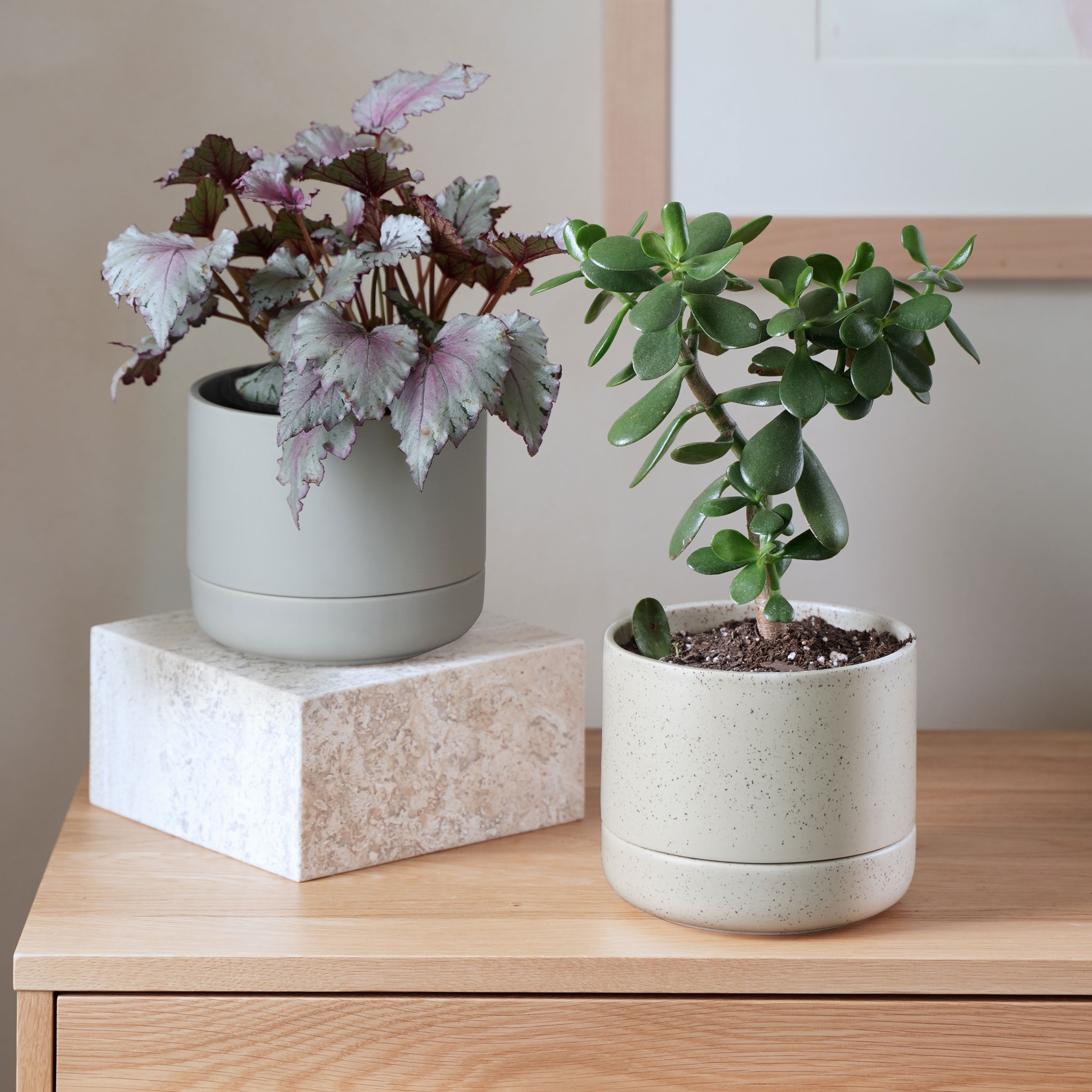 17 Cute Planters to Level up Your Apartment